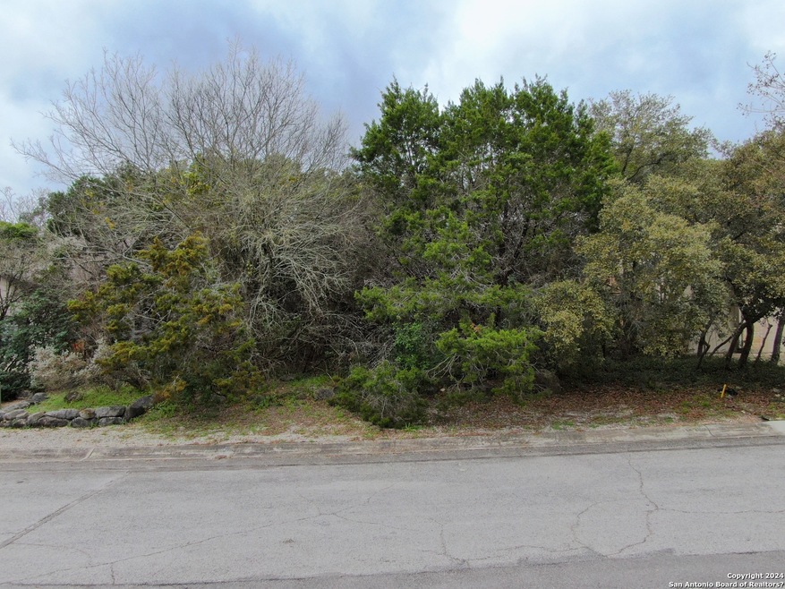 LOT 170 Yaupon Valley, Helotes, TX 78023 - photo 1