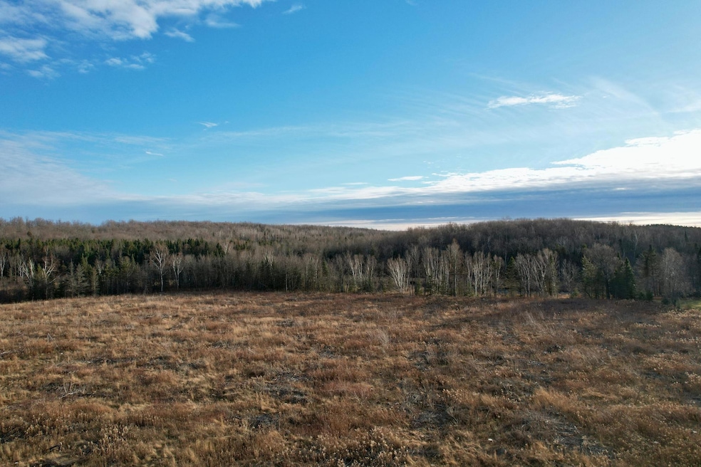 10 Acres Cth N, Crandon, WI 54511 - photo 1