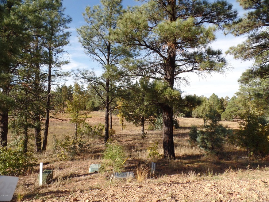 220 E Summer Berry Dr, Show Low, AZ 85901 - photo 1