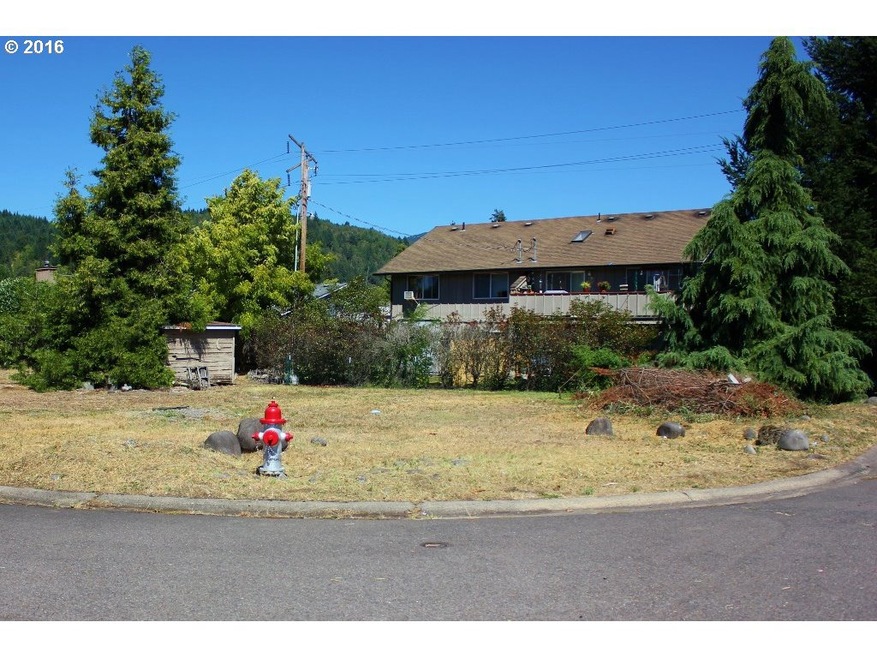0 Christel Ln unit 16081525, Oakridge, OR 97463 - photo 1
