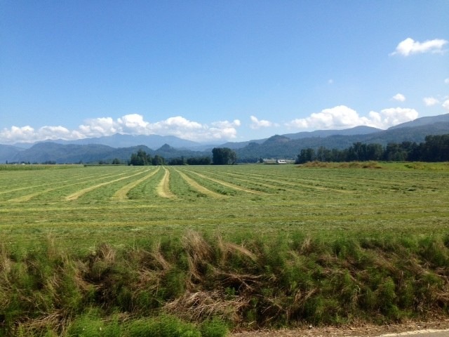 9048 Garrison Rd, Sumas, WA 98295 - photo 1