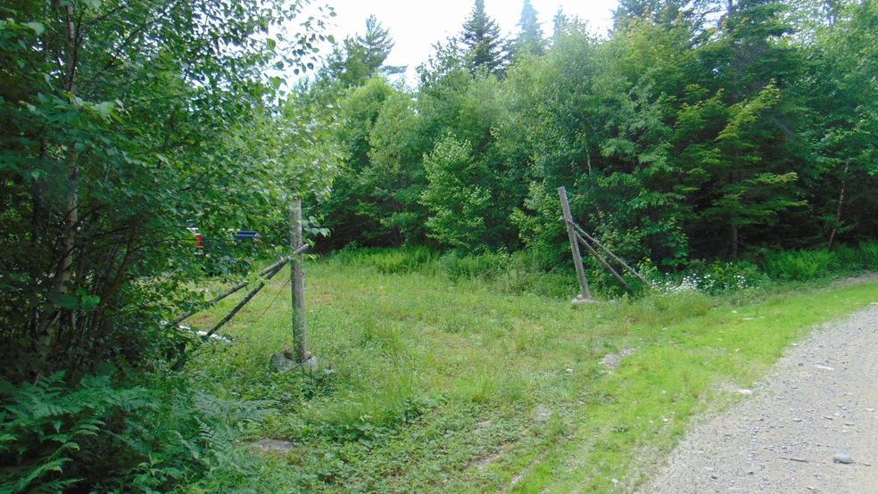 DSC04001
