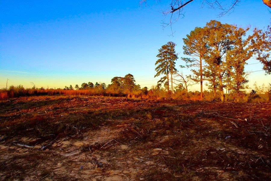 0 Brushy Creek Rd unit LotWP006 22148687, Columbia, MS 39429 - photo 1