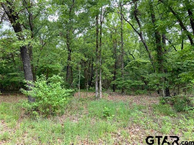 23526 Fm 1995, Lindale, TX 75771 - photo 1