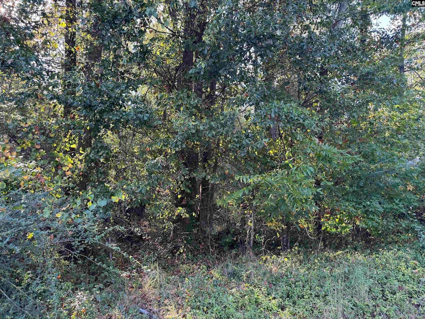 000 Quattlebaum Ave, Ridge Spring, SC 29129 - photo 1