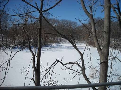 209 Riverview Ave unit 30, Auburndale, MA 02466 - photo 1