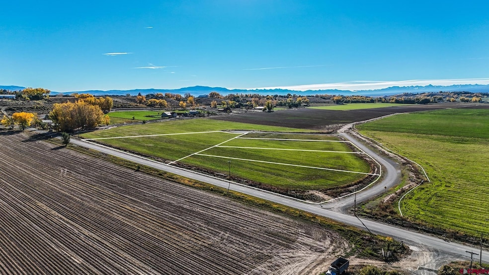 TBD Inverness Ct, Montrose, CO 81403 - photo 1