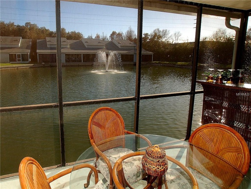 Tranquil Water View