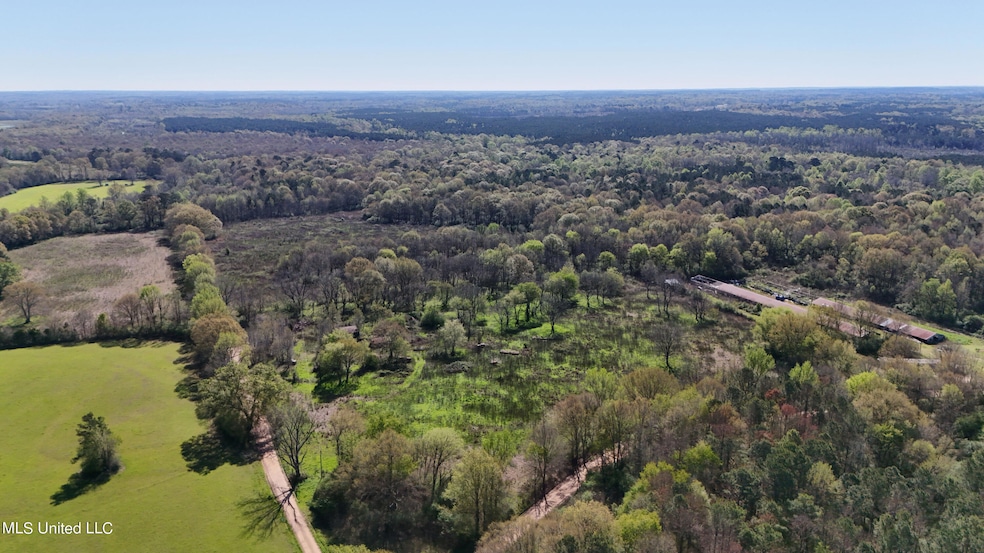DJI_20240330101630_0054_D