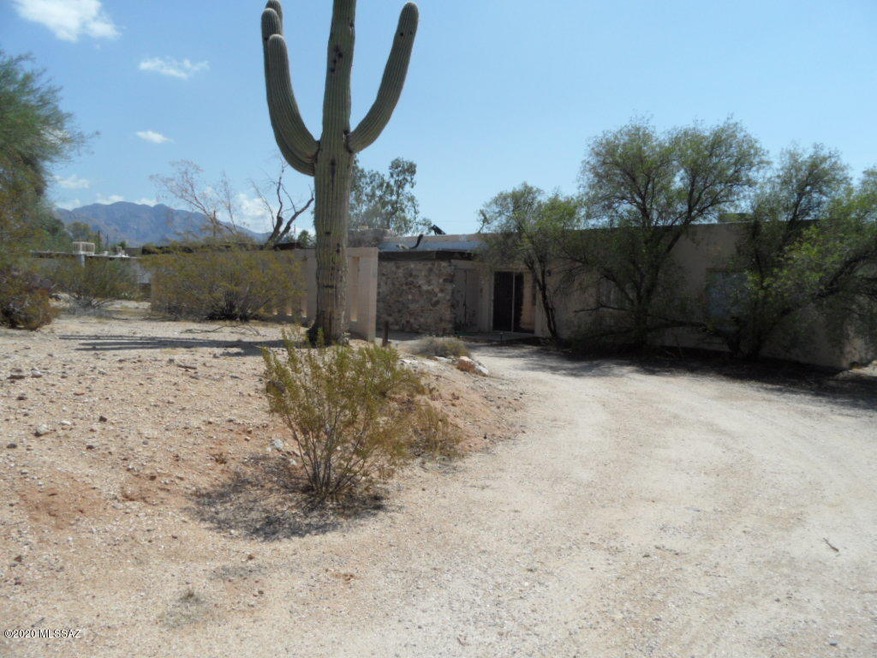 Front Yard