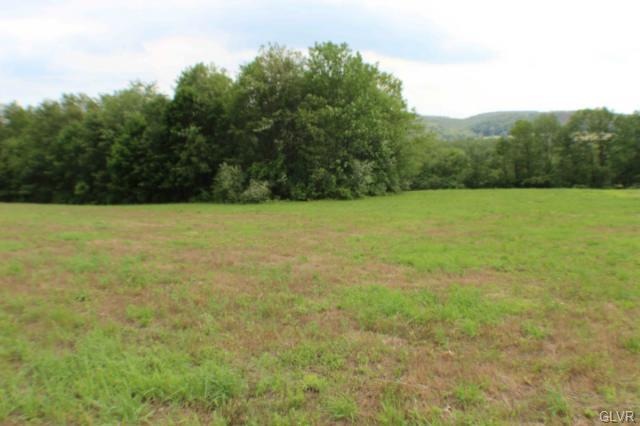 0 Saint Peters Rd unit Lot 4 497715, Andreas, PA 18211 - photo 1