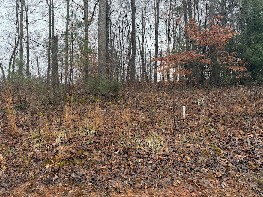 40 Forest Way Cir, Burnside, KY 42519 - photo 1