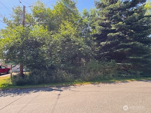 43 E Sycamore Rd, Coupeville, WA 98239 - photo 1