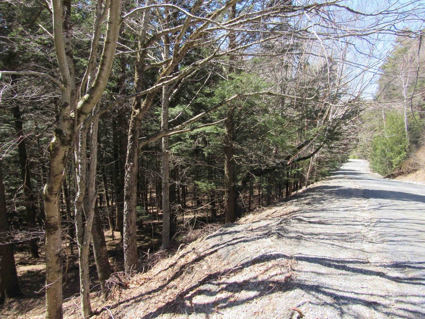 0 Stratton View Rd unit 26, Winhall, VT 05340 - photo 1