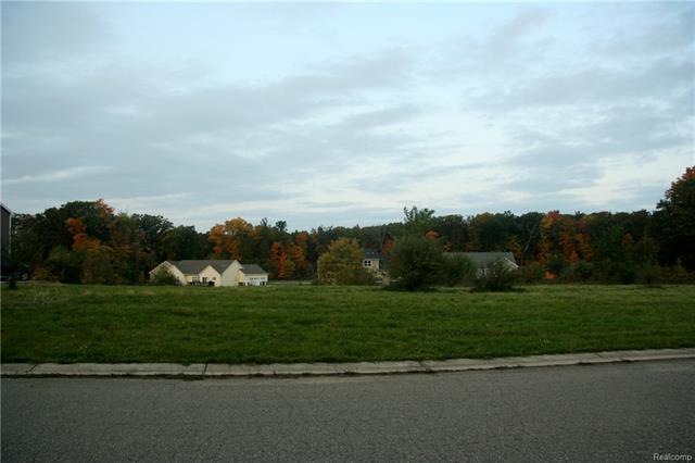 LOT 53