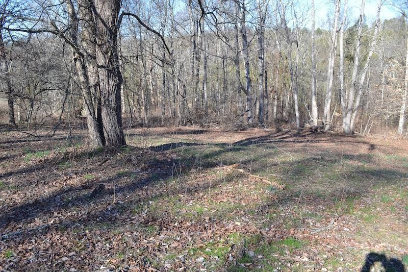 Atala Tral Lot 37 Main