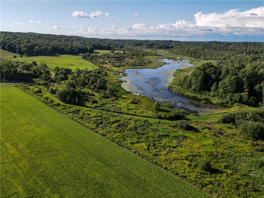 0 Kidder Rd, Mina, NY 14781 - photo 1