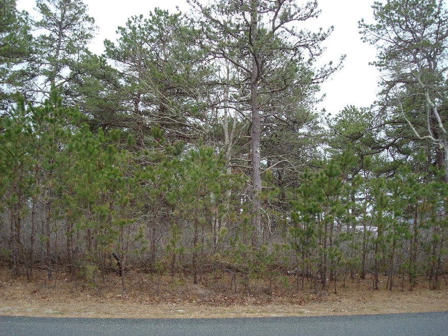 DSC04034