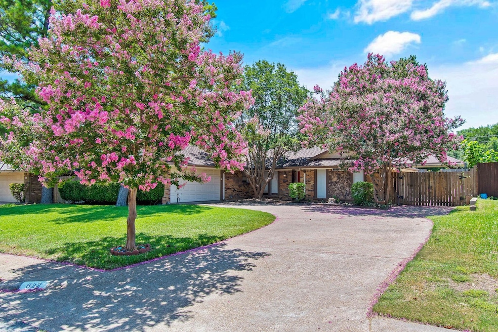 Crepe Myrtle trees blooming in the summer