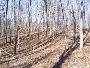 478 ACRES ABINGDON VA