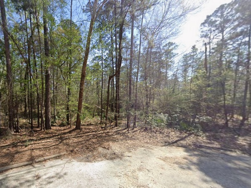 000 Norwood Ct, Huntsville, TX 77320 - photo 1