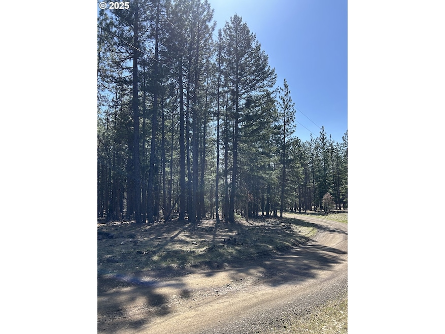 4 Thompson Trail, Goldendale, WA 98620 - photo 1