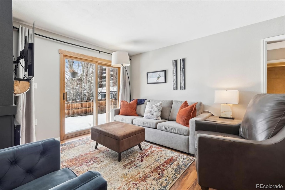 22974 Us Highway 6 unit 102, Dillon, CO 80435 - photo 1