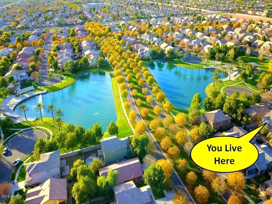 You Live Here