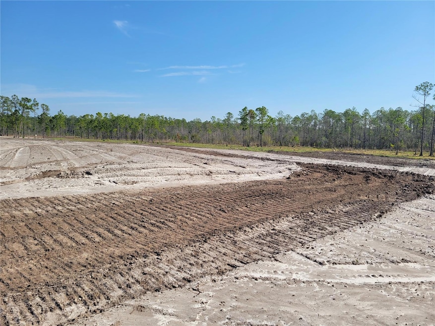 1001 Omega Ranch Rd, New Smyrna Beach, FL 32168 - photo 1