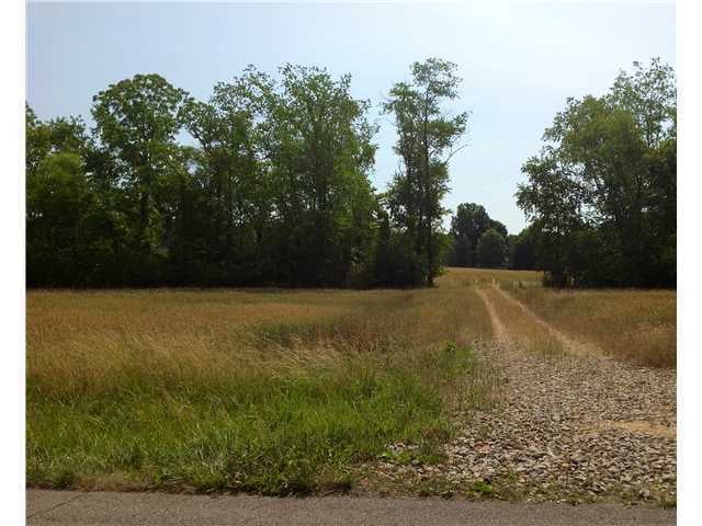 8749 Licking Trails Rd unit LOT 5, Jacksontown, OH 43030 - photo 1