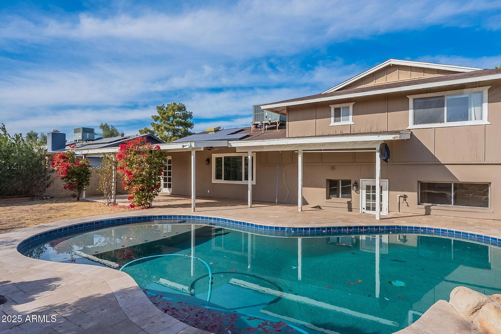 1-Backyard