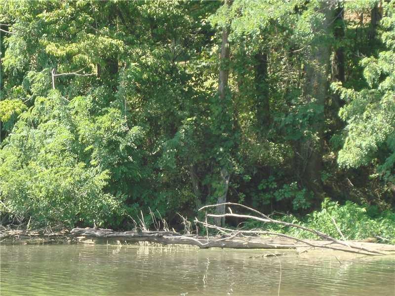 Waterfront. Water front property on 1.26 acres. Water is low because of no rain. .