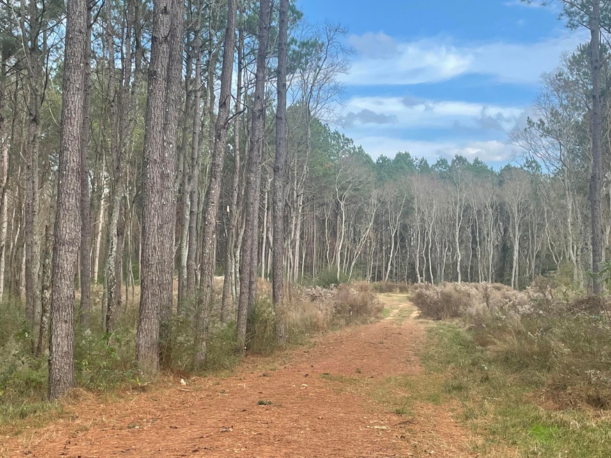 20 Cactus Dr, Laurel, MS 39443 - photo 1