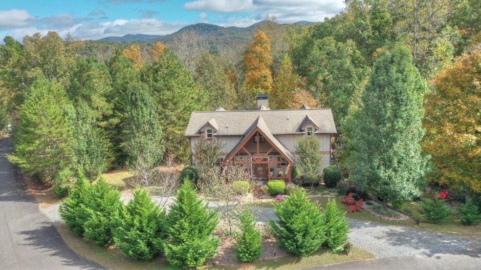 650 Old Orchard Rd, Ellijay, GA 30536 - photo 1