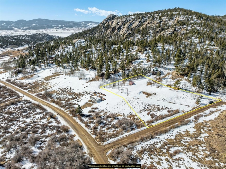 60 Cherokee Path unit 90, Lake George, CO 80827 - photo 1
