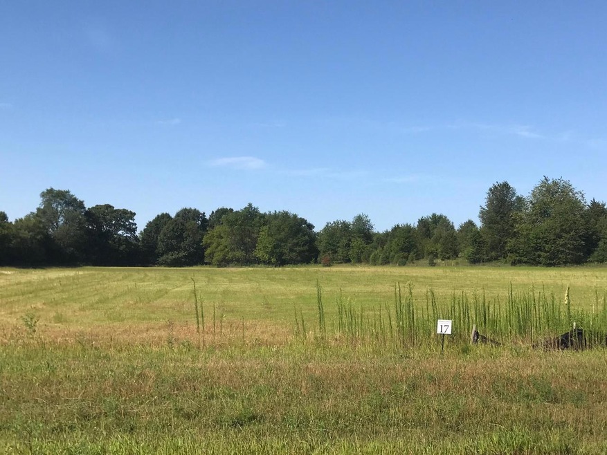 Lot 17