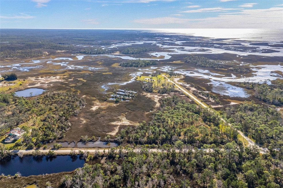 125 SW 284th Ave, Steinhatchee, FL 32359 - photo 1