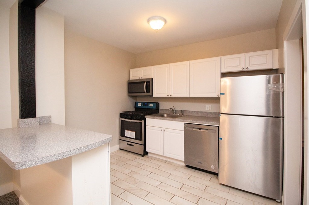 20 Roberts St unit 2, Brookline, MA 02445 - photo 1