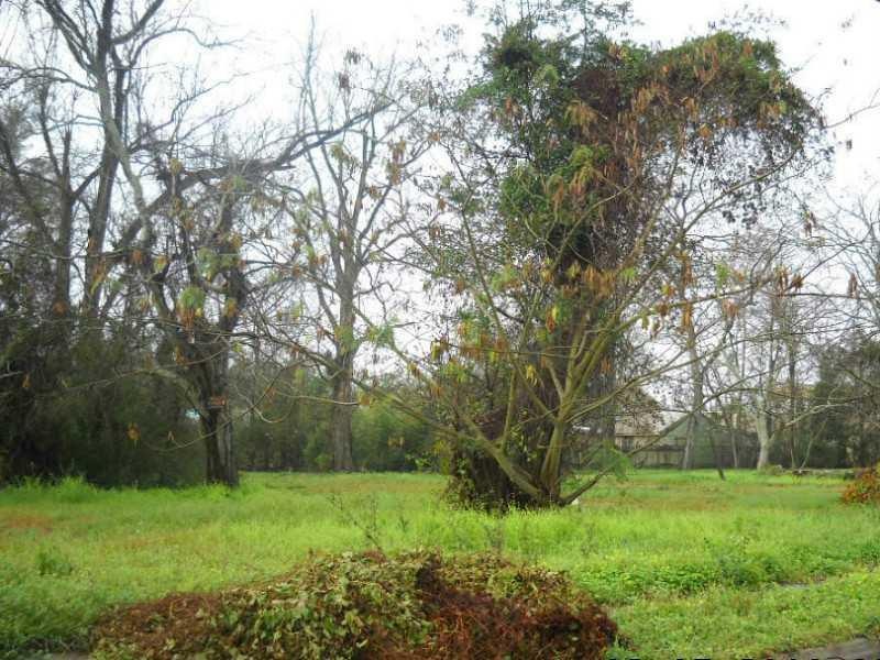 Land/Lot.