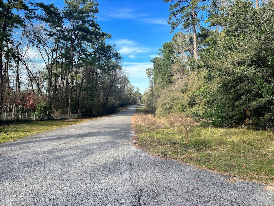 0 W Lakelane unit 76052510, Houston, TX 77338 - photo 1