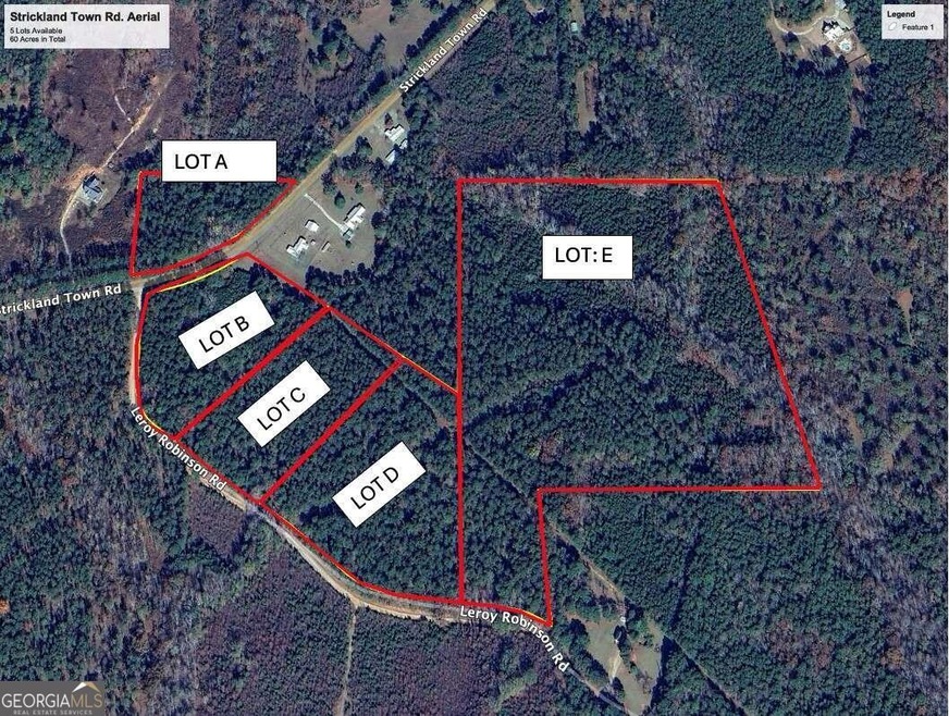 0 Strickland Town Rd unit TRACT 5 10414065, Luthersville, GA 30251 - photo 1