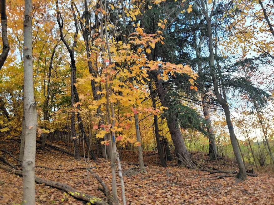 Sold $90,000 • Co-Listing Agent