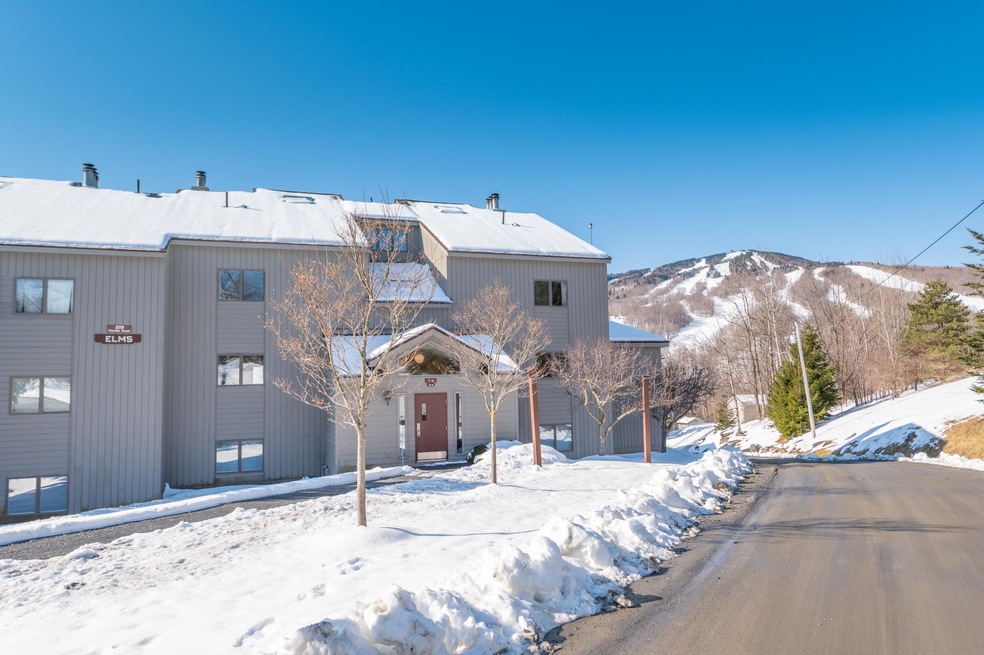 339K Handle Rd unit Elms K, Dover, VT 05356 - photo 1
