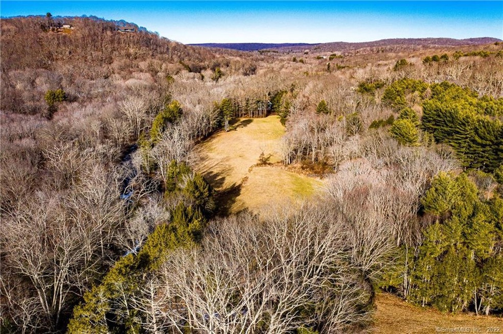 Pristine 45 acre land parcel includes a 3.25 appro