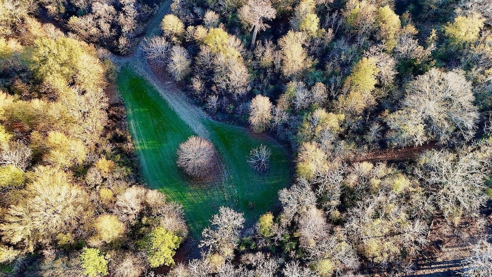 1215 Dennis Slaughter Rd, Pollock, LA 71467 - photo 1