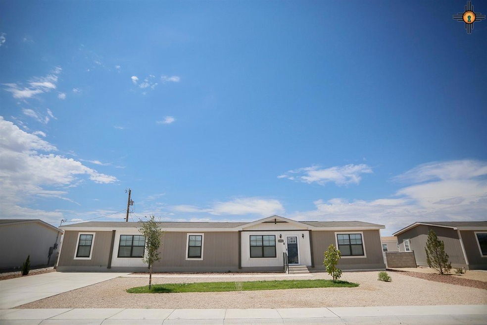 4204 Willow St, Carlsbad, NM 88220 - photo 1