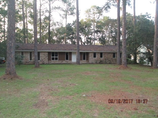 Main View
