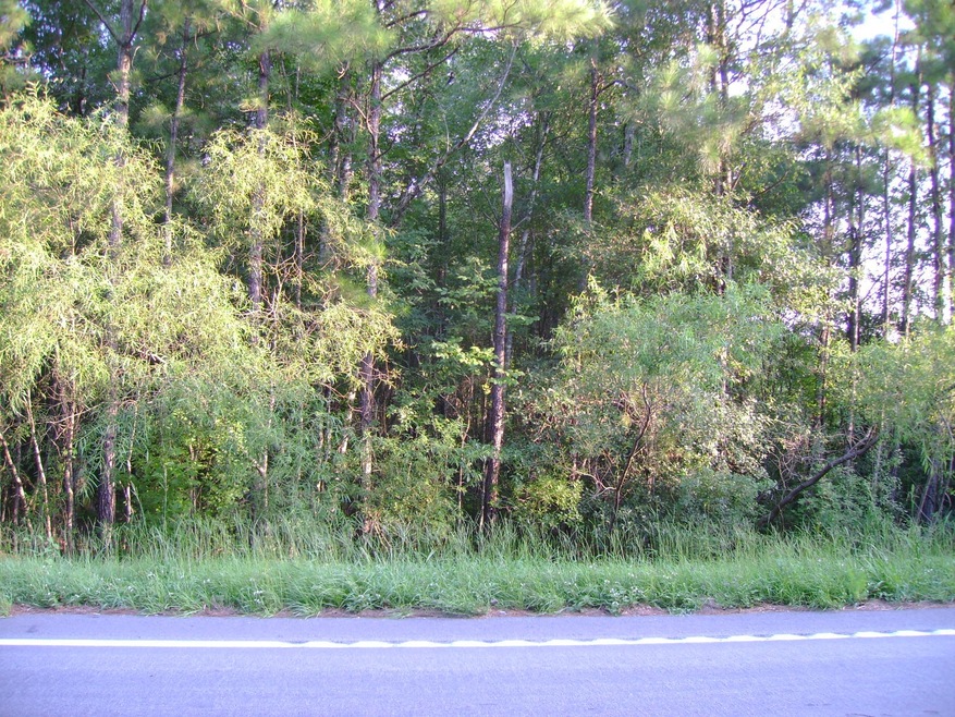 DSC01067