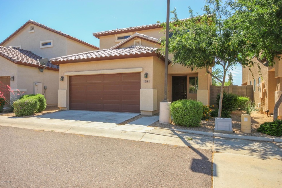 0001-Camelback (2)