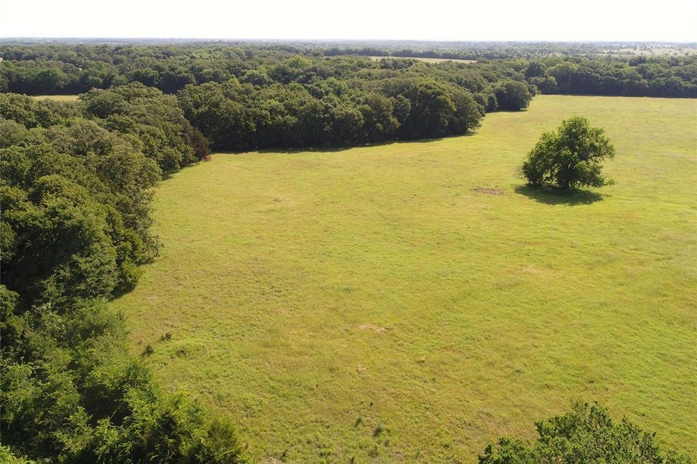 TBD5 County Rd 141, Callisburg, TX 76240 - photo 1